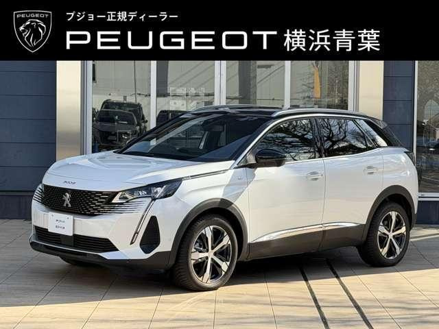 3008GT エグゼクティブ エディション