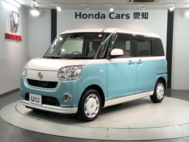 ムーヴキャンバス X リミテッド メイクアップ SAII 