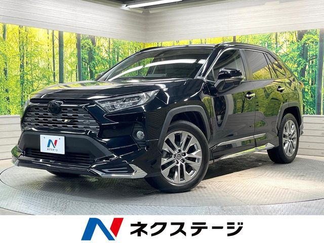 RAV4 2.0 G Zパッケージ 4WD （6BA-MXAA54）