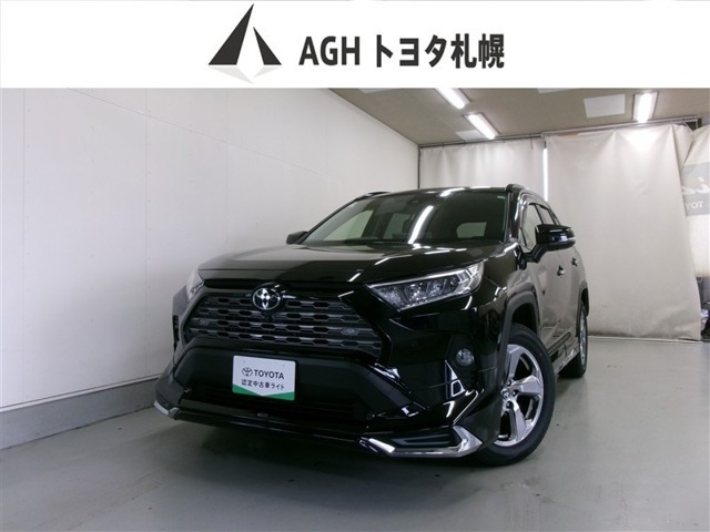 RAV4 2.0 G 4WD（6BA-MXAA54）