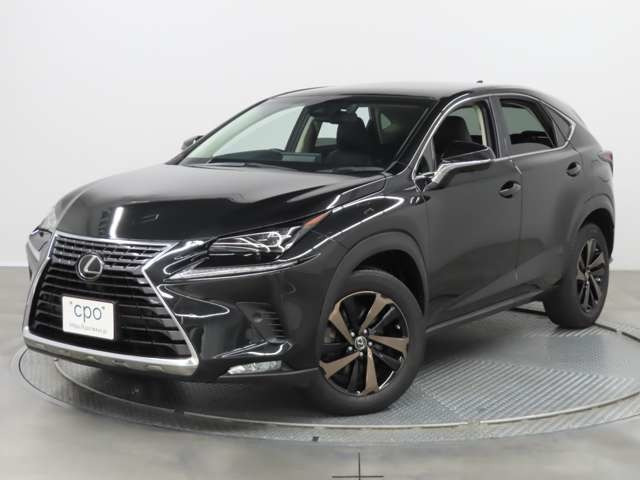 NX 300 バージョンL （DBA-AGZ10）