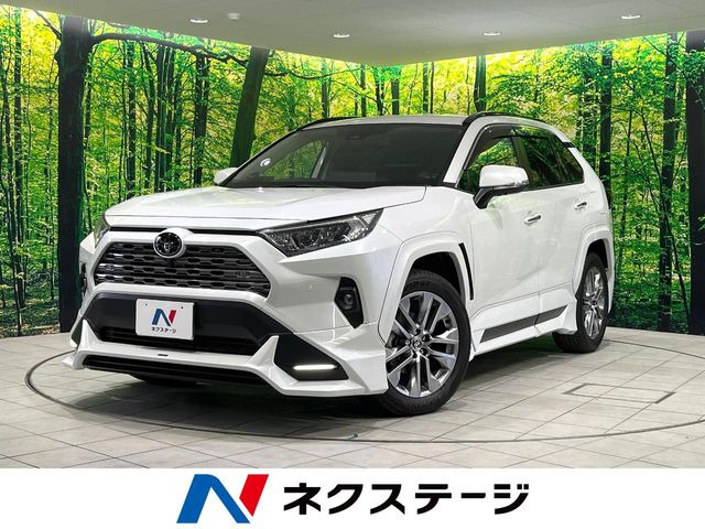 RAV4 2.0 G Zパッケージ 4WD （6BA-MXAA54）