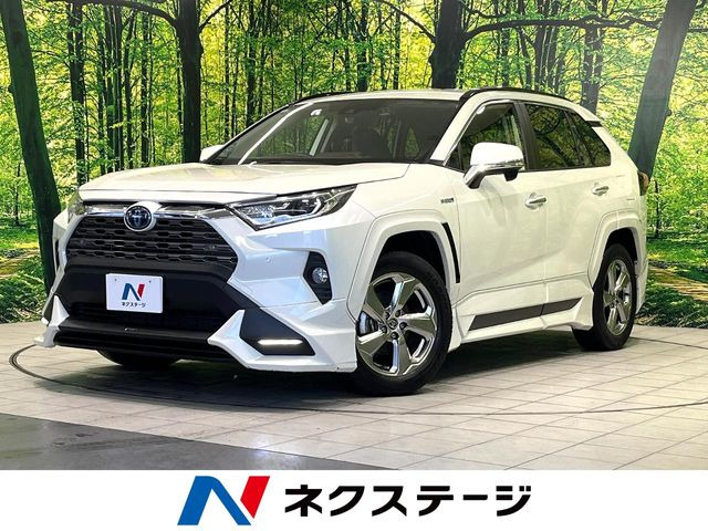 RAV4 2.5 ハイブリッド G E-Four 4WD （6AA-AXAH54）