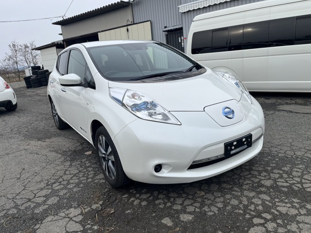 リーフ30kWh X サンクス エディション