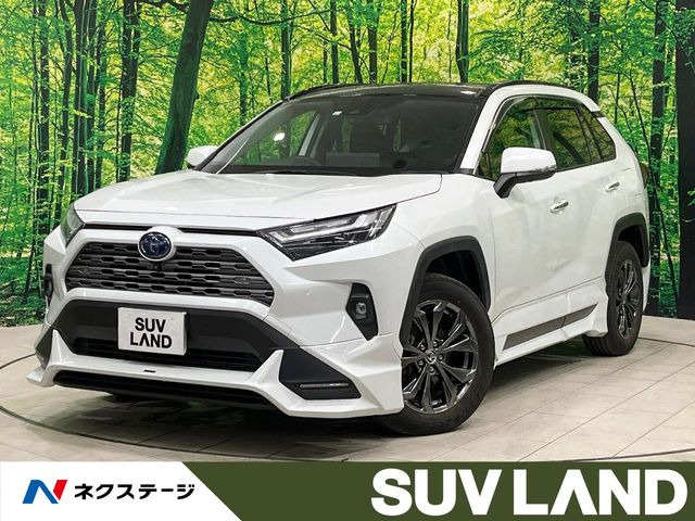 RAV4 2.5 ハイブリッド G E-Four 4WD （6AA-AXAH54）