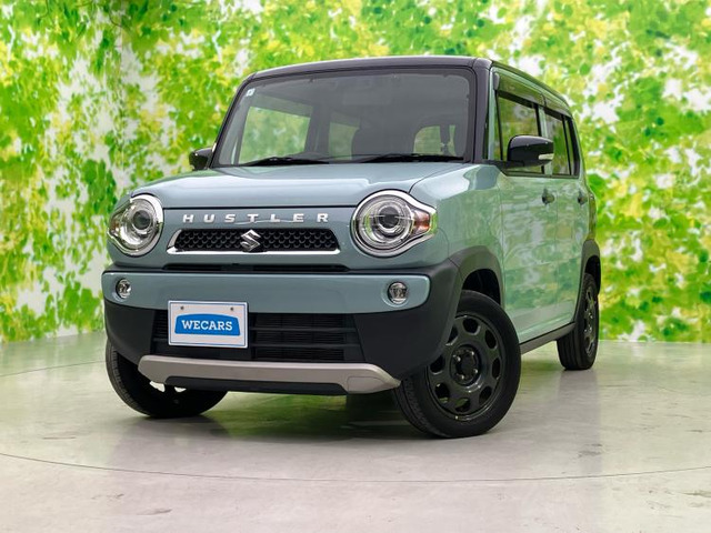 ハスラータフワイルド