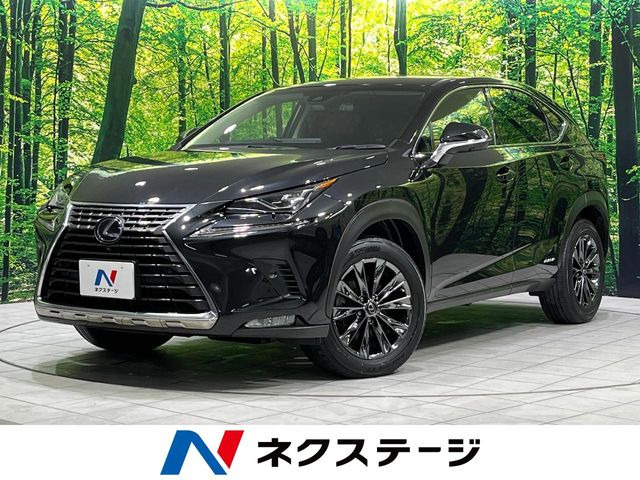 NX 300h バージョンL 