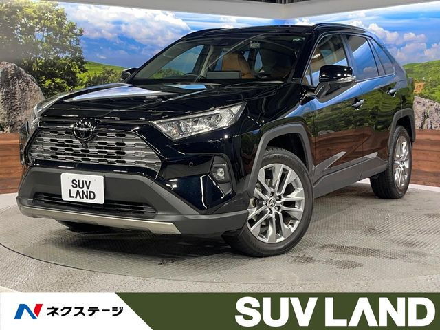 RAV4 2.0 G Zパッケージ 4WD （6BA-MXAA54）