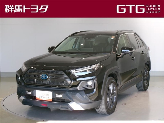 RAV4 2.5 ハイブリッド アドベンチャー E-Four 4WD（6AA-AXAH54）