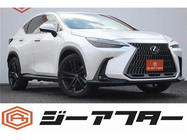 NX450hプラス バージョンL 4WD禁煙車 純正14インチナビ 全周囲カメラ