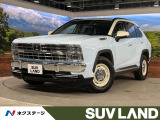 バディ 2.0 20LX 4WD