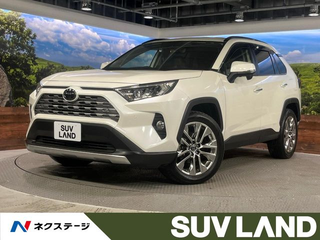 RAV4 2.0 G Zパッケージ 4WD （6BA-MXAA54）