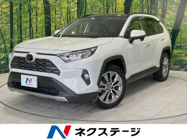 RAV4 2.0 G Zパッケージ 4WD （6BA-MXAA54）