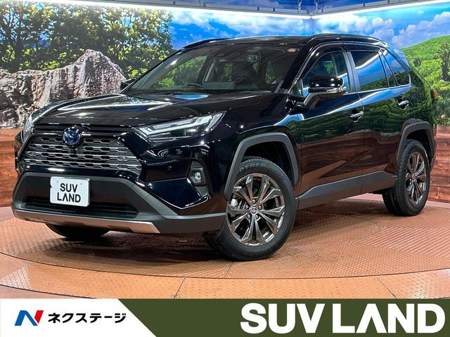RAV4 2.5 ハイブリッド G E-Four 4WD （6AA-AXAH54）