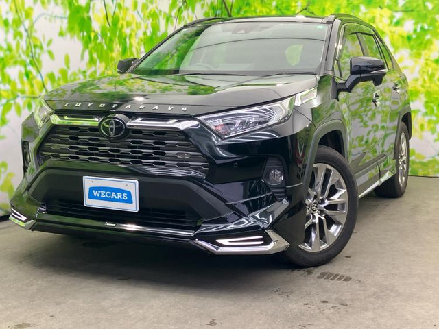 RAV4 2.0 G Zパッケージ 4WD （6BA-MXAA54）