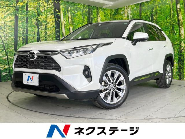 RAV4 2.0 G Zパッケージ 4WD （6BA-MXAA54）
