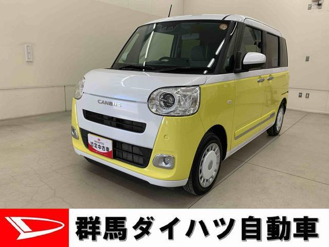 ムーヴキャンバス  ストライプス G