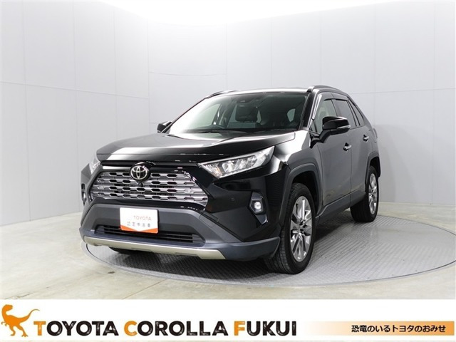 RAV4 2.0 G Zパッケージ 4WD（6BA-MXAA54）