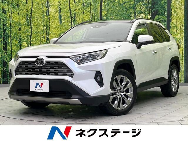 RAV4 2.0 G Zパッケージ 4WD （6BA-MXAA54）