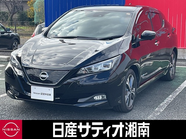 リーフ  X Vセレクション