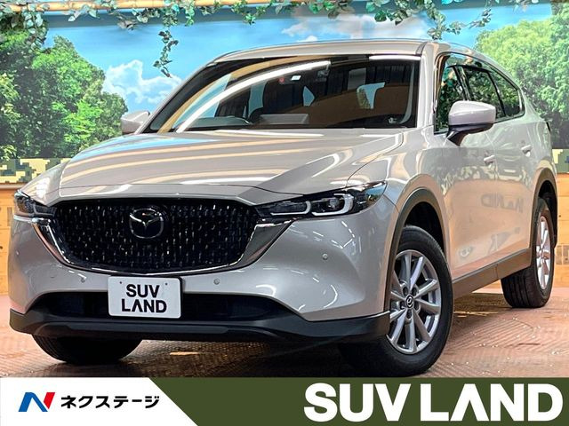 マタタビ様 2点まとめ買い 51NMPIWHkxL._AC_UF894,