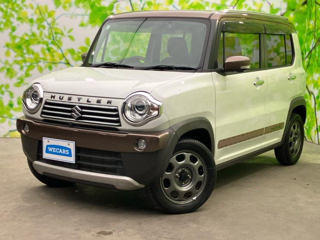 ハスラーワンダラー