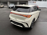 ドルフィン ベースライン 