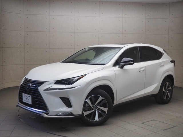 NX300スパイス&シック