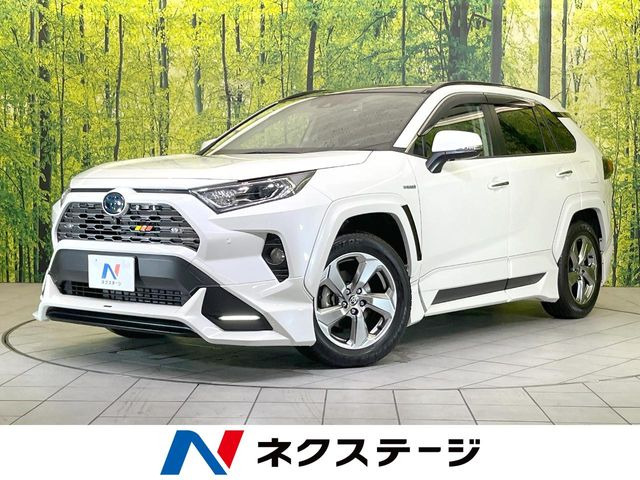 RAV4 2.5 ハイブリッド G E-Four 4WD （6AA-AXAH54）