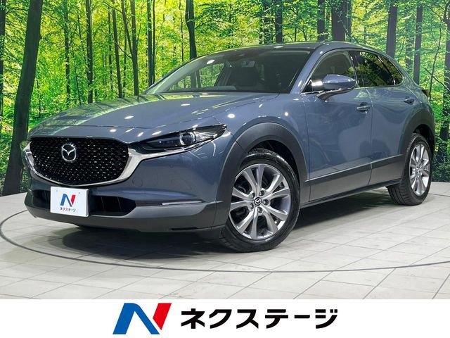 CX-301.8 XD プロアクティブ ツーリングセレクション