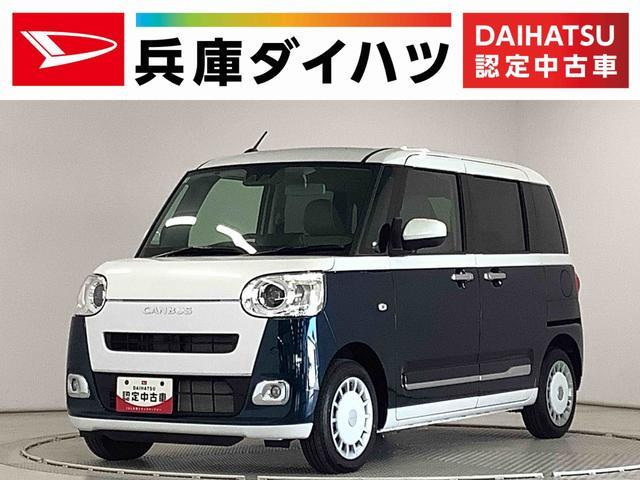 ムーヴキャンバスストライプス G