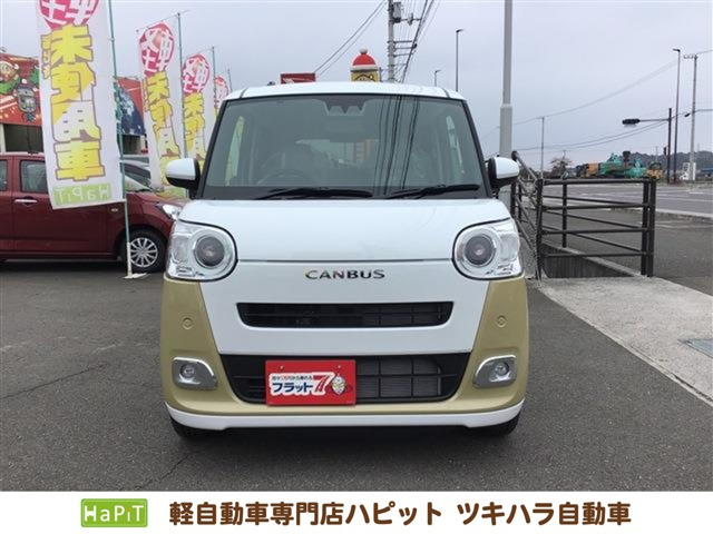 ムーヴキャンバス  ストライプス G