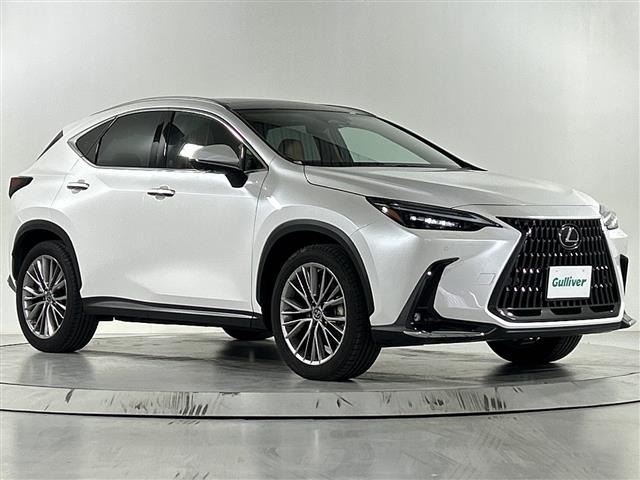 NX250 バージョンL本革シート サンルーフ