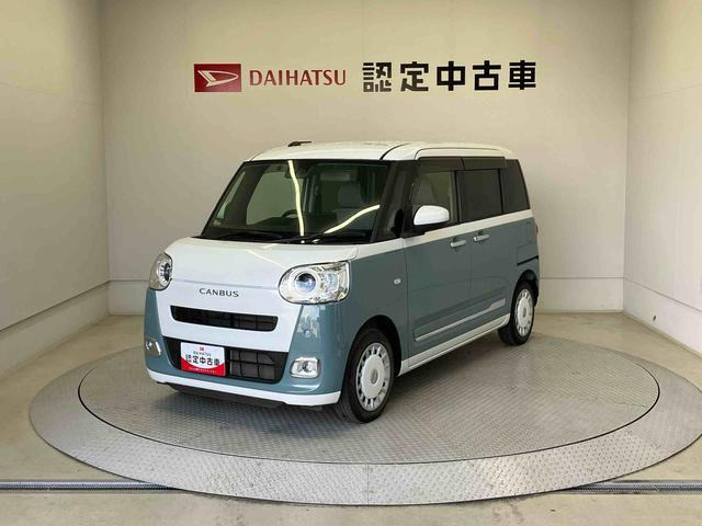 ムーヴキャンバス  ストライプス G