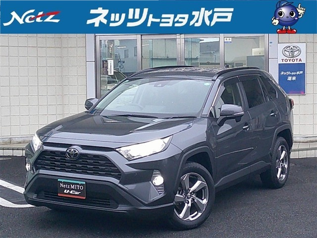 RAV4 2.0 X 