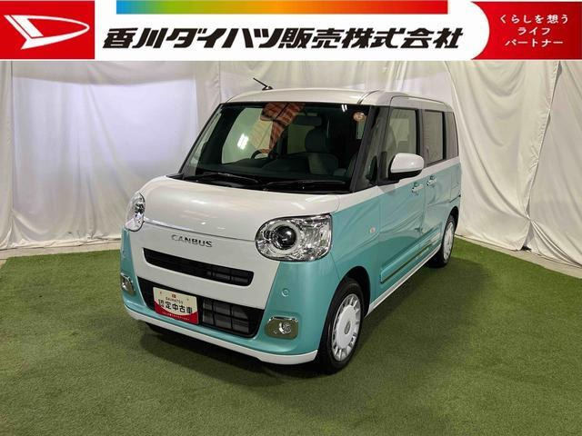 ムーヴキャンバス  ストライプス G