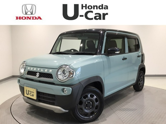 ハスラー タフワイルド 