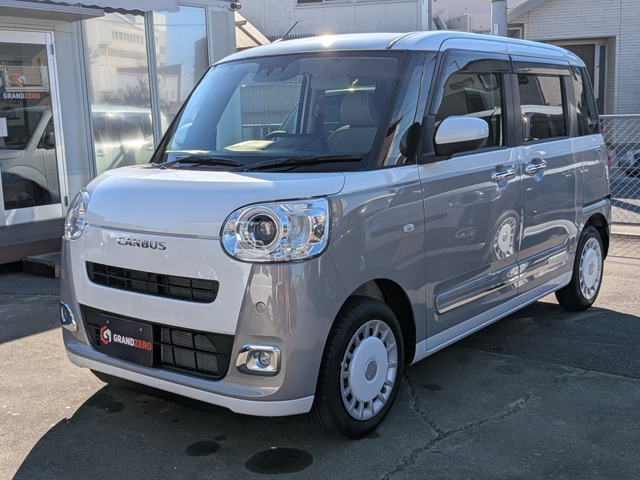 ムーヴキャンバス  ストライプス G