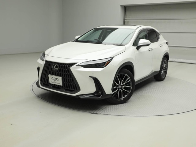NX 350h バージョンL （6AA-AAZH20）