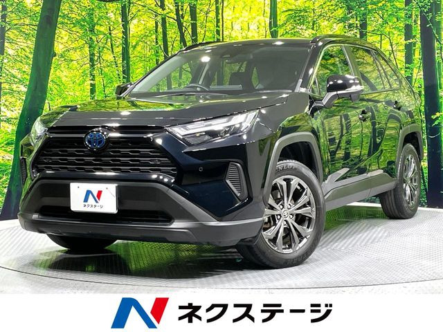 RAV42.5 ハイブリッド X