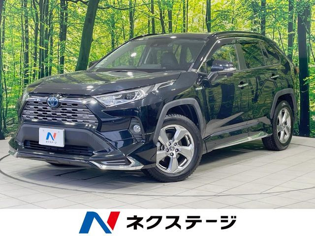 RAV4 2.5 ハイブリッド G E-Four 4WD （6AA-AXAH54）
