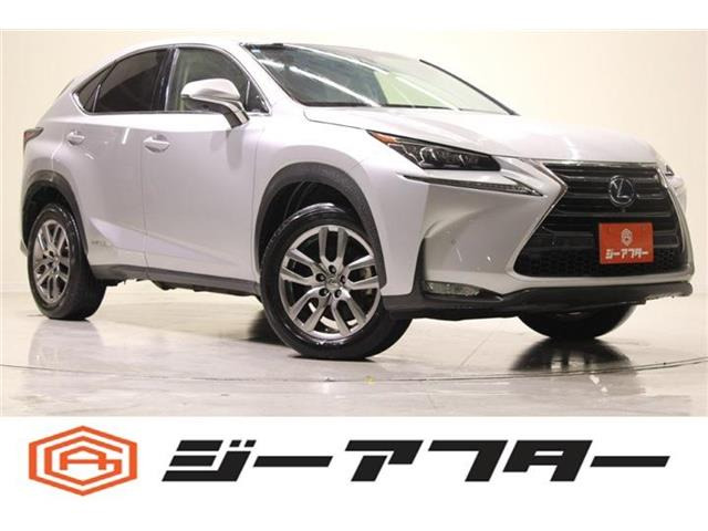NX300h Iパッケージ 4WD