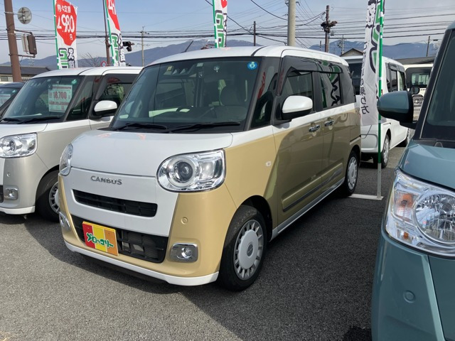 ムーヴキャンバス  ストライプス G