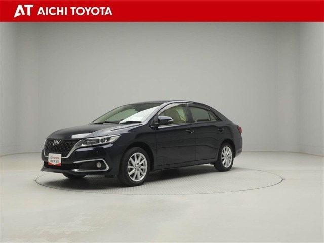 アリオン2.0 A20 Gプラスパッケージ