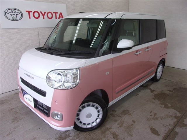 ムーヴキャンバス  ストライプス G