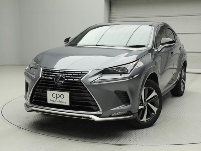 NX300hスパイス&シック