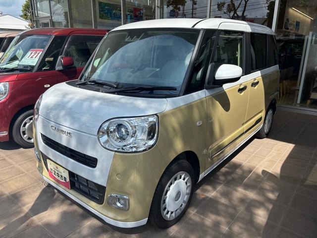 ムーヴキャンバス  ストライプス G