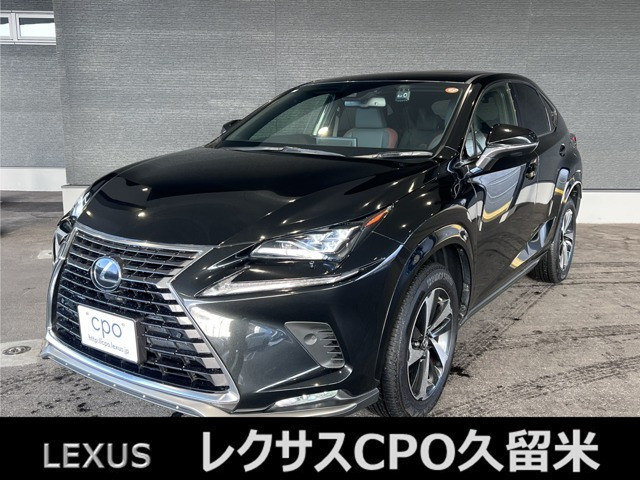 NX300スパイス&シック