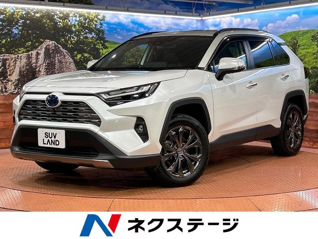 RAV4 2.5 ハイブリッド G E-Four 4WD （6AA-AXAH54）