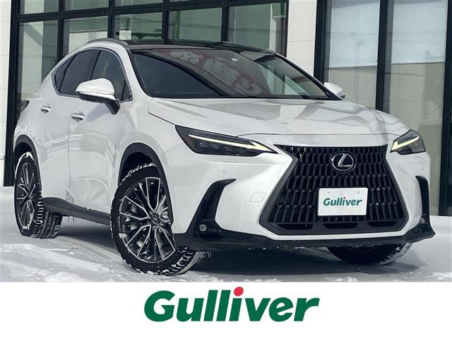 NX250 バージョンL 4WD4WD 本革シート